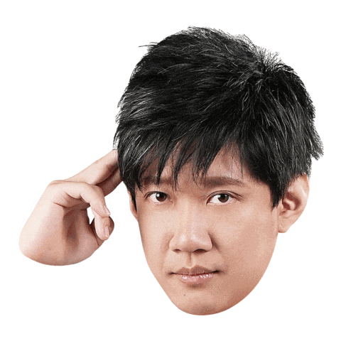 Fw Flashwolves Sticker
