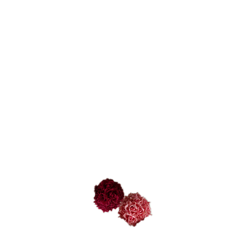 Flower Buo Sticker by DeimosCreative