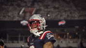 Football Smile GIF by New England Patriots