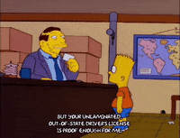 bart simpson episode 20 GIF