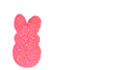 Sugar Cookies Spring Sticker by PLEASE & THANK YOU