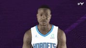 Terry Rozier Sport GIF by Charlotte Hornets