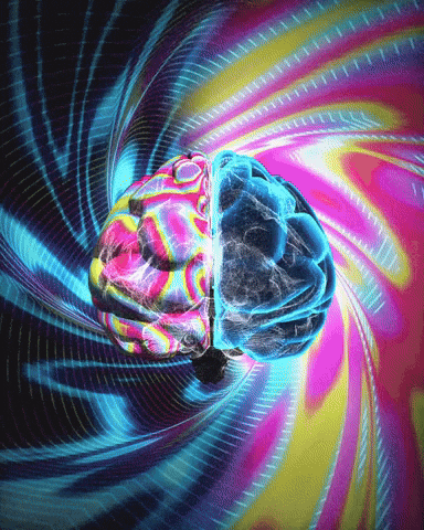 ImagiNah giphyupload aesthetic vaporwave brain GIF