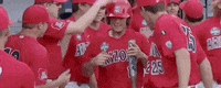College World Series Baseball GIF by NCAA Championships
