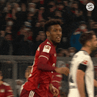 Happy Allianz Arena GIF by FC Bayern Munich