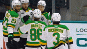 Hockey Lk GIF by London Knights