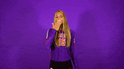 Clemsonvb Championshipbehavior GIF by Clemson Tigers