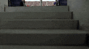 season opener mls GIF by Orlando City SC