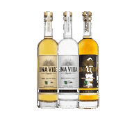 St Louis Cheers Sticker by Una Vida Tequila