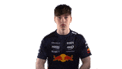 Red Bull Sr Sticker by Oracle Red Bull Racing