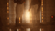 Florida State Softball GIF by NCAA Championships