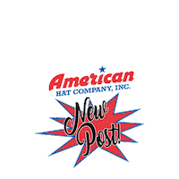 american horse Sticker by Katie