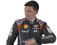 Breen Dust Off Sticker by FIA World Rally Championship