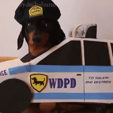 dog cops GIF