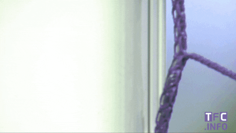 ligue 1 soccer GIF by Toulouse Football Club