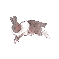 Chinese Bunny Sticker