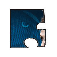 Afl Sticker by Adelaide Crows
