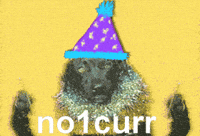 Happy Birthday Dog GIF by Birthday Bot