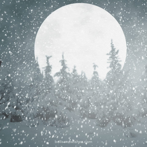 Christmas Time Snow GIF by Bells and Wishes