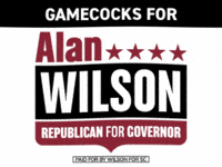 South Carolina Football GIF by Team Wilson