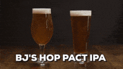 beer GIF by BJ’s Restaurant & Brewhouse