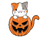 Trick-Or-Treat Cat Sticker by Petique, Inc.