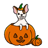 Dog Halloween Sticker by TEHZETA