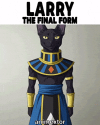 Funny Cat GIF