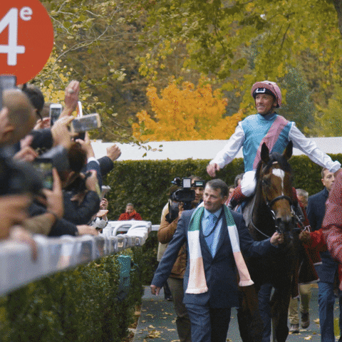 Enable Arc GIF by World Horse Racing