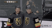 Ice Hockey Sport GIF by NHL