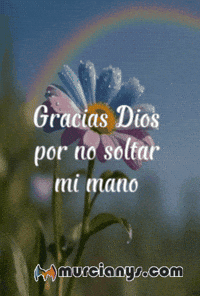 Gracias Amigos GIF by Murcianys LLC