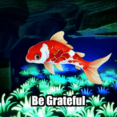 Gratitude Wisdom GIF by TheConfishius