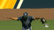 Happy Major League Baseball GIF by MLB