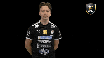 Floorball Salibandy GIF by F-liiga