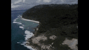 Video Art 80S GIF