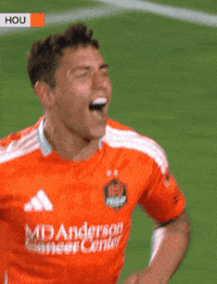 Lets Go Love GIF by Major League Soccer