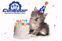 Cat Birthday GIF by ConEquip Parts