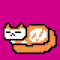 eynmaginaire cat ginger ollie ollie the cat GIF