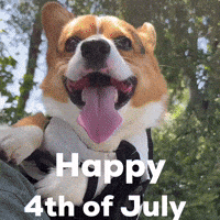Happy 4Th Of July GIF