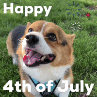 Happy 4Th Of July GIF