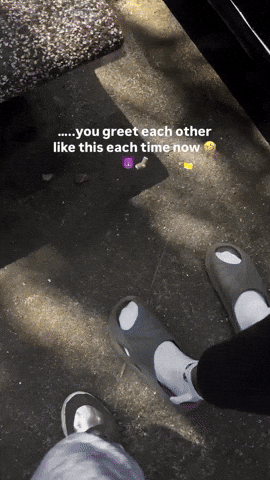 crshdprod giphyupload GIF