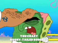 season 7 episode 20 GIF by SpongeBob SquarePants
