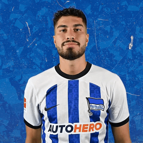 Bundesliga Ball GIF by Hertha BSC