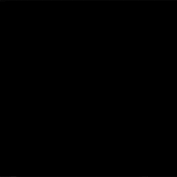 chippythedog chippythedog GIF