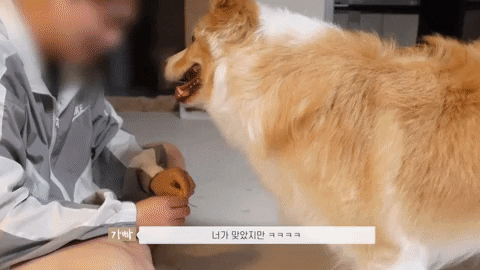 Toooootmtmtm giphyupload GIF