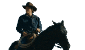 Amazon Studios Horse Sticker by Amazon Prime Video