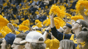 college university GIF by WestVirginiaU