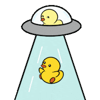 DuckieandDuck duck ufo ducks beam Sticker