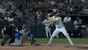 Blue Jays Baseball GIF by Toronto Blue Jays