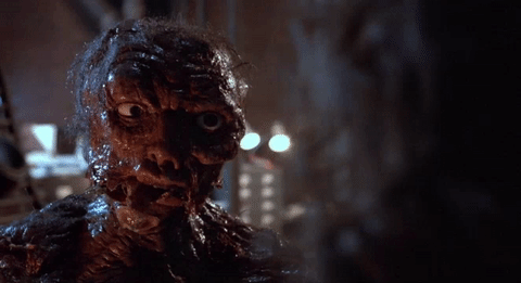 the fly GIF by 20th Century Fox Home Entertainment